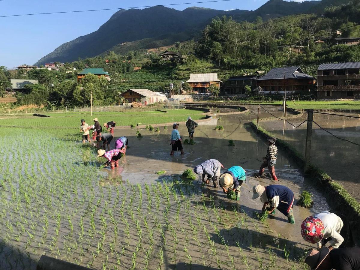 Little Ta Van Homestay Sapa Exteriör bild